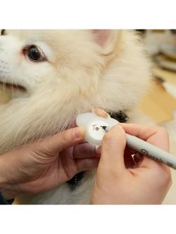 Kikkerland Kobe Dog Light Up Name Tag, Multi