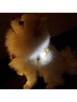 Kikkerland Kobe Dog Light Up Name Tag - view 2, Multi