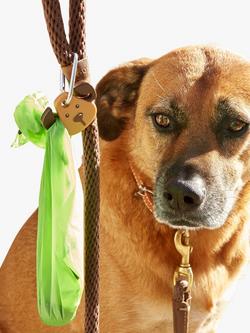 Kikkerland Kobe Dog Keyring Light - view 2, Multi