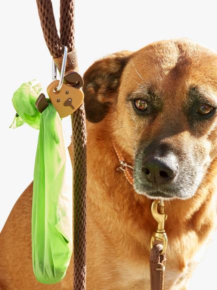 Kikkerland Kobe Dog Keyring Light - view 2, Multi