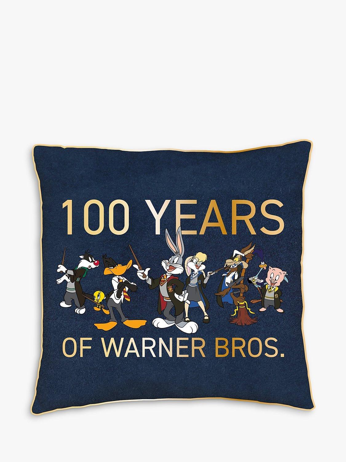 Harry Potter Warner Bros Mash Up Limited Edition 100th Anniversary Square Cushion