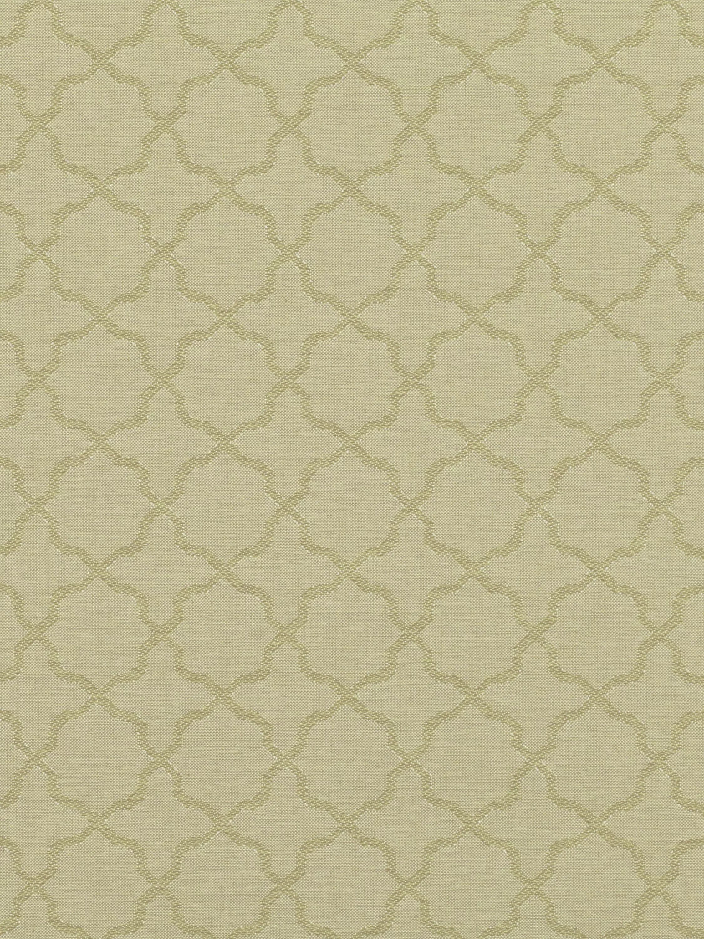 Fennel  - Out of stock