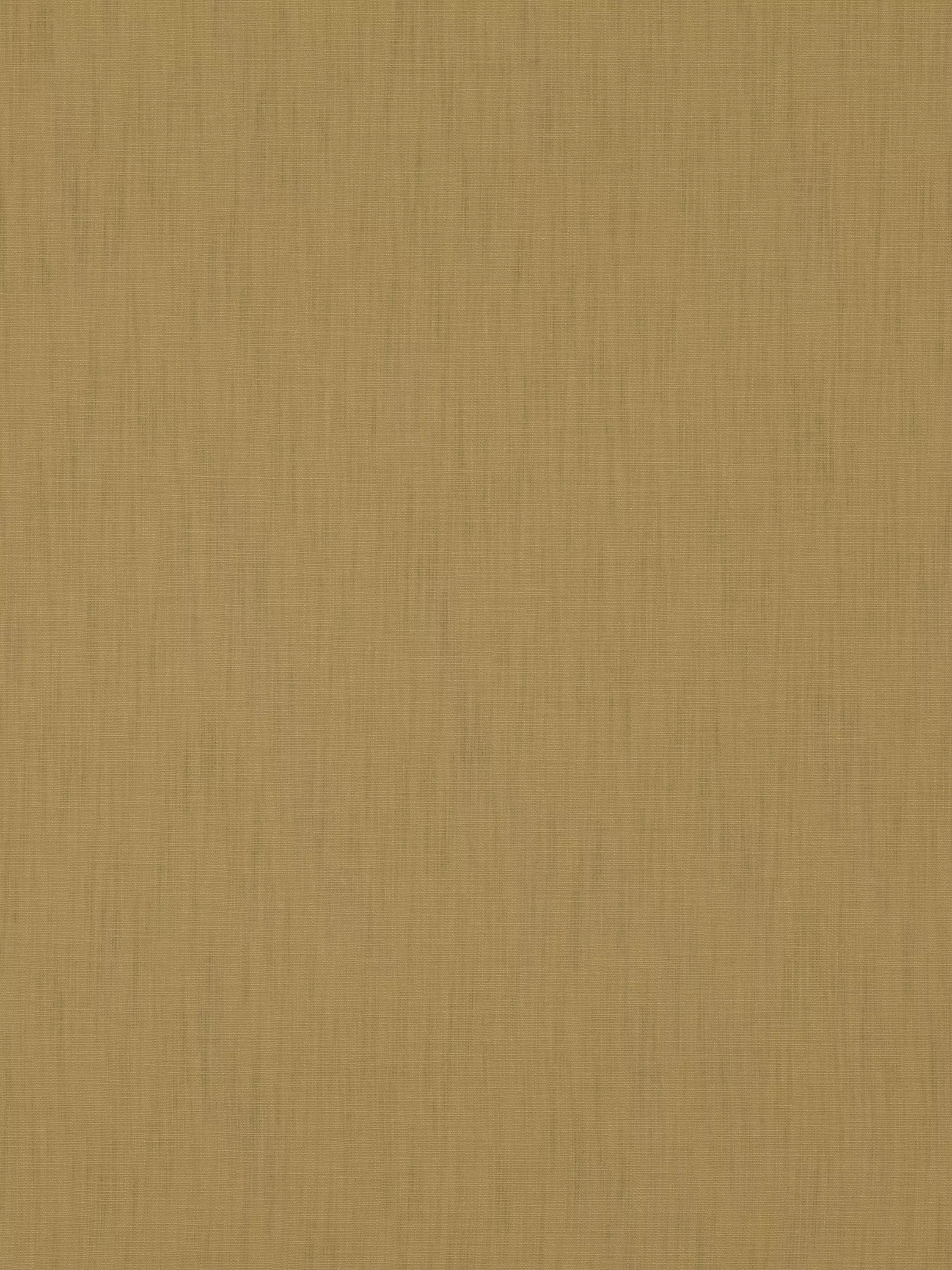 Mustard  - Out of stock