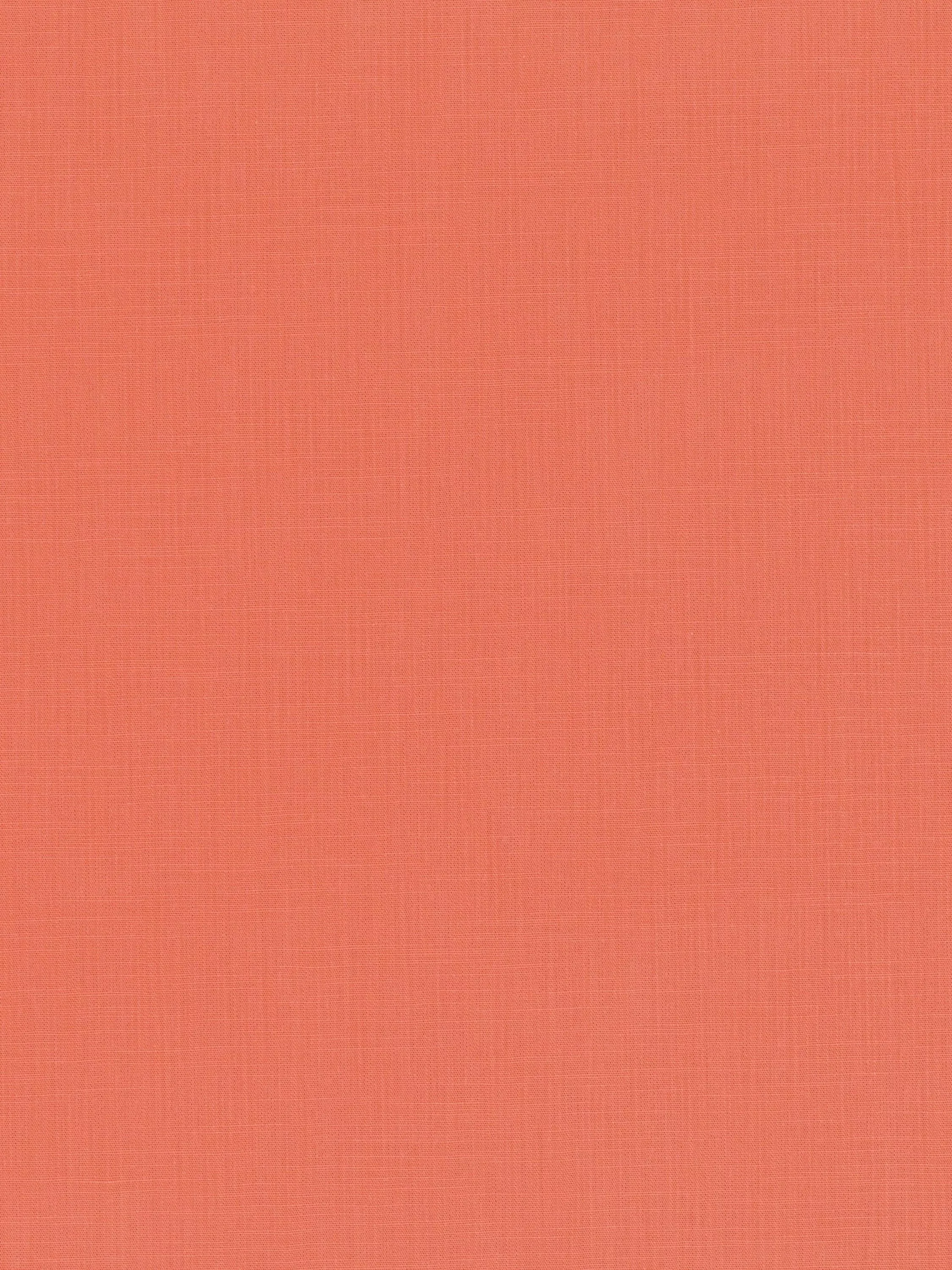 Capsicum  - Out of stock