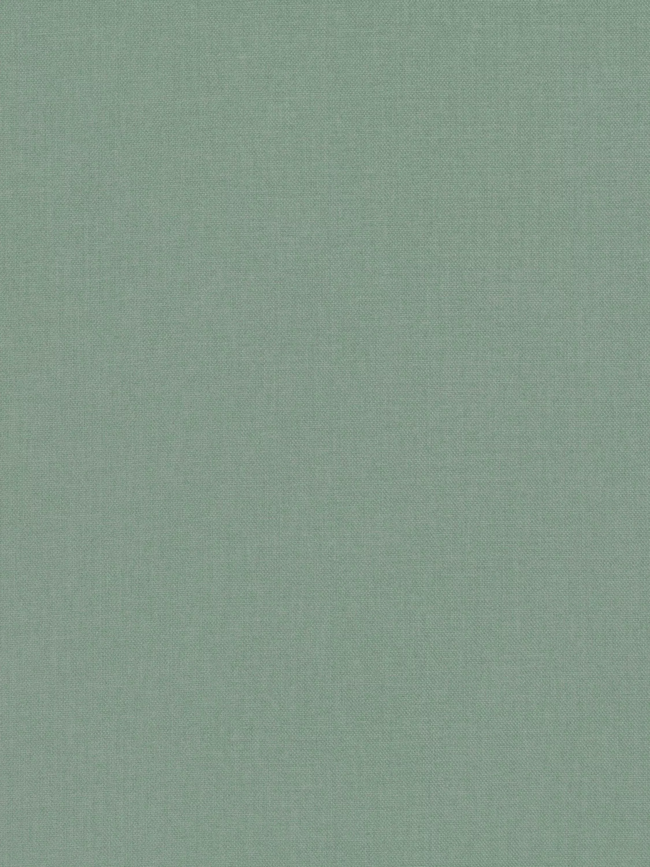 Aloe  - Out of stock