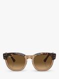 Ray-Ban RB0298S Unisex Polarised Mega Hawkeye Sunglasses, Havana On Transparent Brown/Brown Gradient