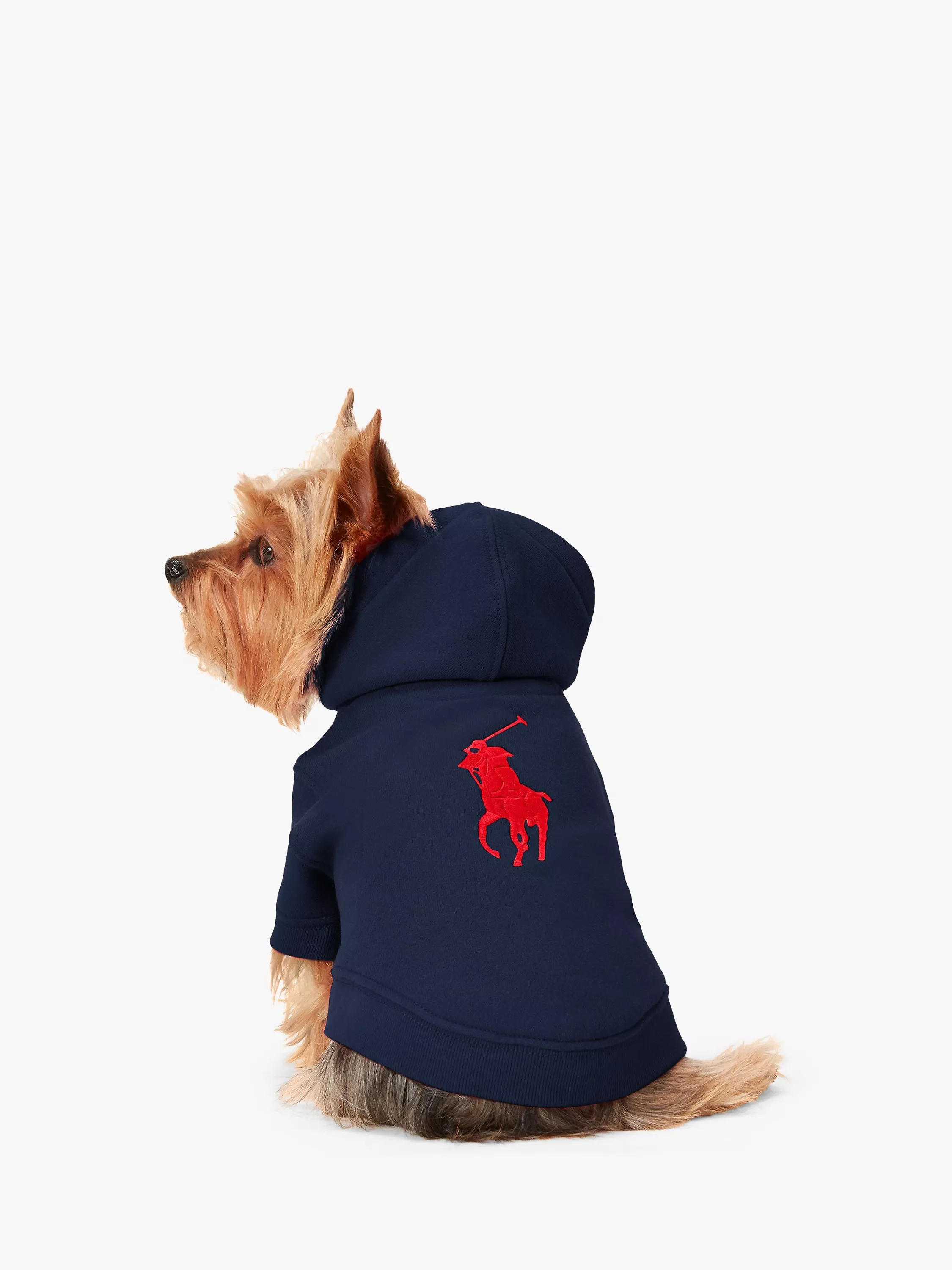 Ralph Lauren Heritage Pony Dog Hoodie Navy