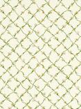 Harlequin x Sophie Robinson Daisy Trellis Wallpaper