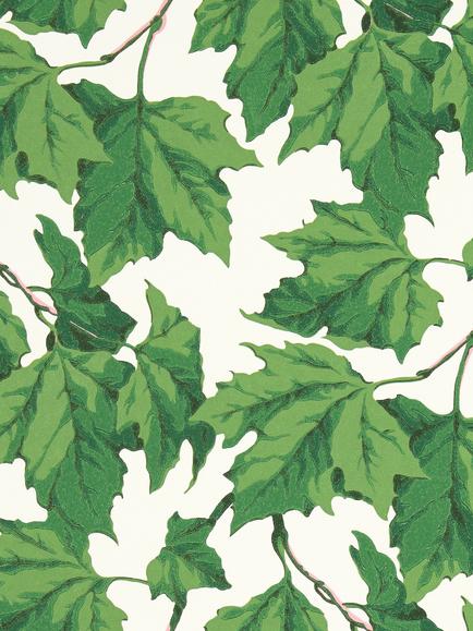 Harlequin x Sophie Robinson Dappled Leaf Wallpaper, Hsrw113045