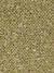 Tweed Citrus colour