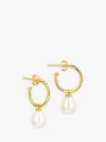 Claudia Bradby Freshwater Pearl Hoop Earrings