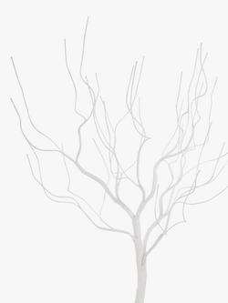 John Lewis Twig Tree, H60cm, White - view 2, White