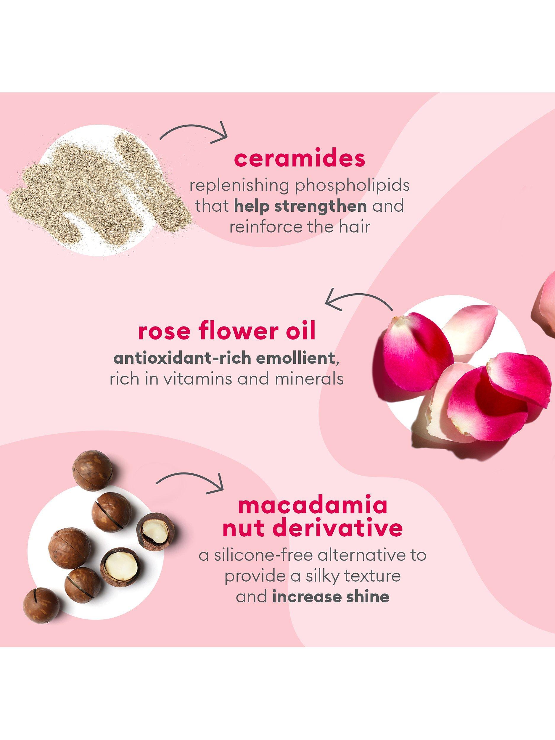 Product image 4 of 11, which shows Briogeo Don't Despair, Repair!™ Ceramides + Rose Flower Strengthening Treatment Oil, 30ml