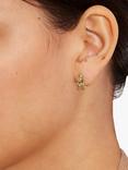 Coach Rexy Dino Stud Earrings, Gold