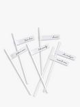 Ginger Ray Team Bride Drinking Straws