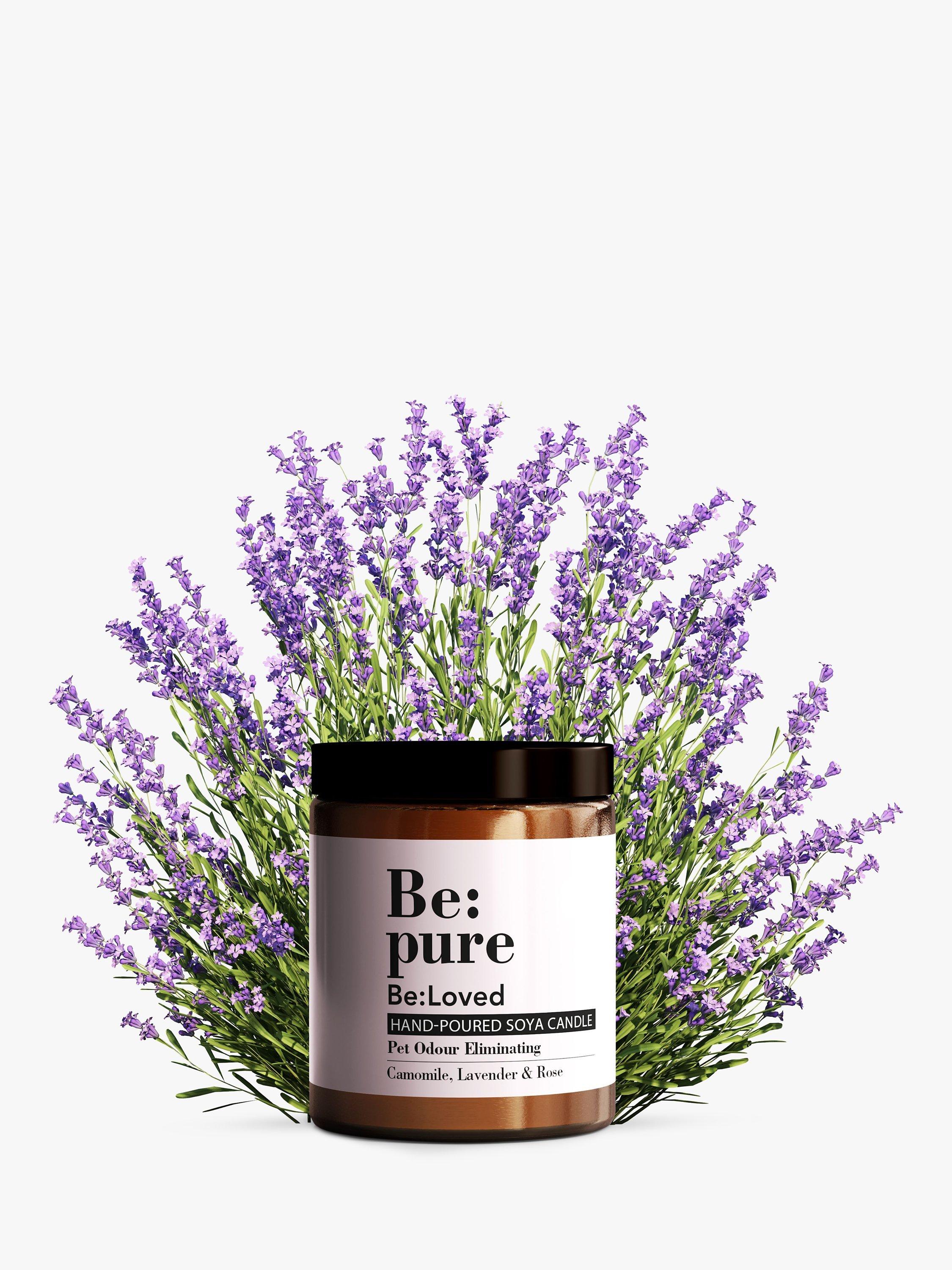 Be:Loved Pure Pet Odour Eliminating Scented Candle, 150g