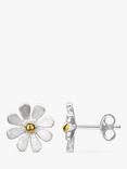 Nina B Flower Stud Earrings, Silver