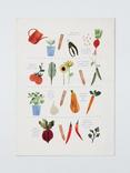 John Lewis Garden Vegetable Print Cotton Tea Towel, Multi