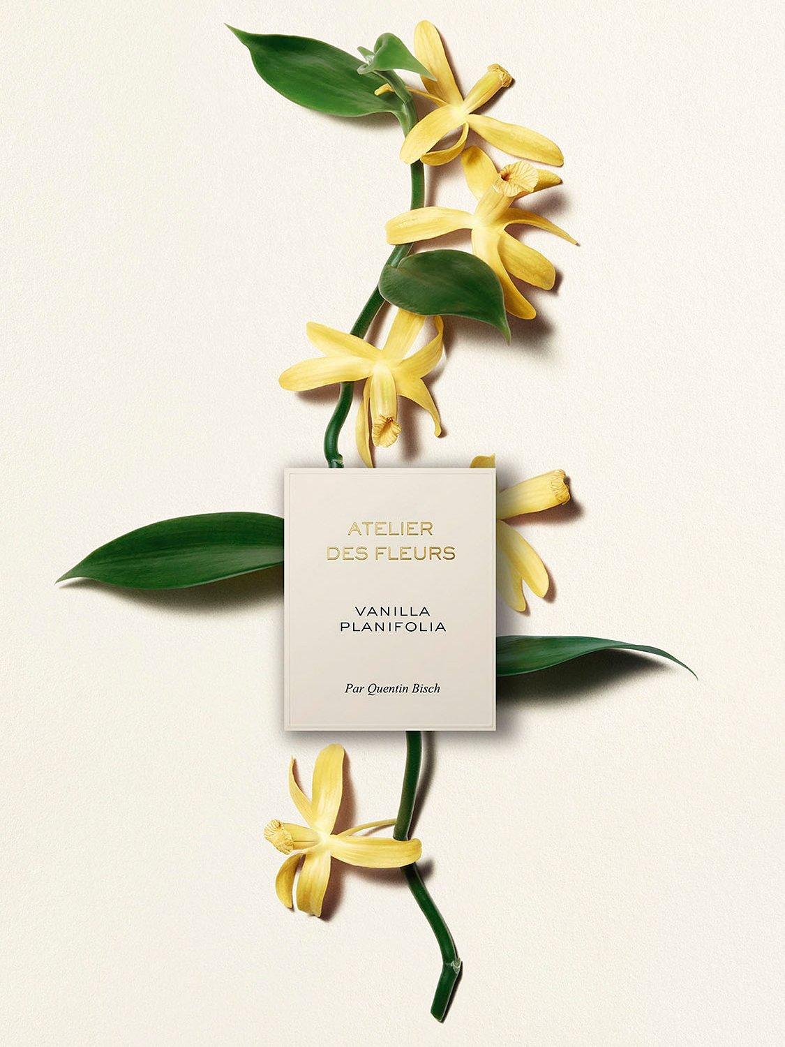 Chloé atelier factory des fleurs VANILLA Planifolia 50ml 85% Full *Retail $155