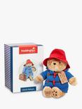 Paddington Bear Collectors Suitcase