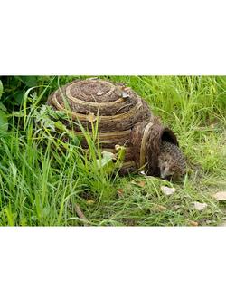 Wildlife World Wicker Igloo Hedgehog House, Natural - view 2, Natural