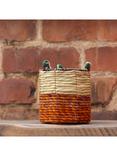 Wildlife World Fairtrade Artisan Plant Baskets, Set of 2