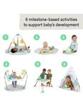 Ingenuity Tummy To Toes 6-in-1 Milestone Activity Centre