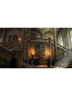 Hogwarts Legacy, Switch - view 2, N/A