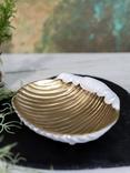 Culinary Concepts Seashore Small Shell Bowl, 16cm, Gold/White