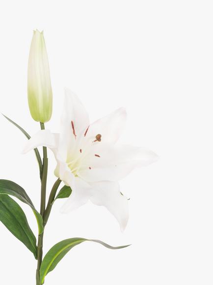 Floralsilk Artificial Fresh Touch Lily, White - view 2, White