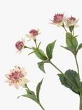 Floralsilk Artificial Astrantia Spray, Pink/Green