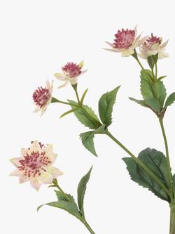 Floralsilk Artificial Astrantia Spray, Pink/Green - view 2, Pink/Green