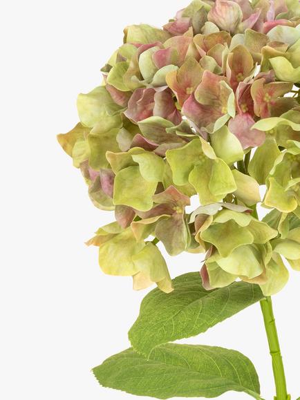 Floralsilk Artificial French Hydrangea, Green - view 2, Green