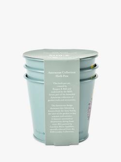 Burgon & Ball RHS Gifts for Gardeners Asteraceae Herb Pots, Set of 3, Sage - view 2, Sage