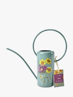 Burgon & Ball RHS Gifts for Gardeners Asteraceae Indoor Watering Can, Sage, Sage