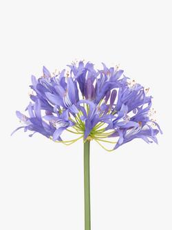 Floralsilk Artificial Large Agapanthus, Purple, Purple