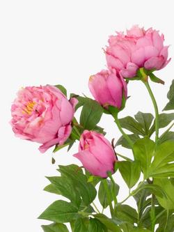 Floralsilk Artificial Peony in Ceramic Pot, H51cm, Pink - view 2, Multi