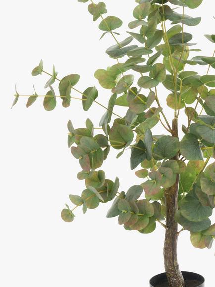 Floralsilk Artificial Eucalyptus Tree in Pot, H94cm, Green - view 2, Green