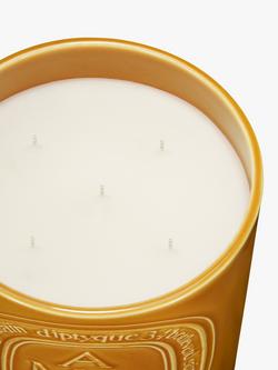 Diptyque Extra-Large Ambre Scented Candle, 1500g - view 2, 