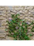 Ivyline Honeycomb Garden Wall Trellis, 84 x 62cm