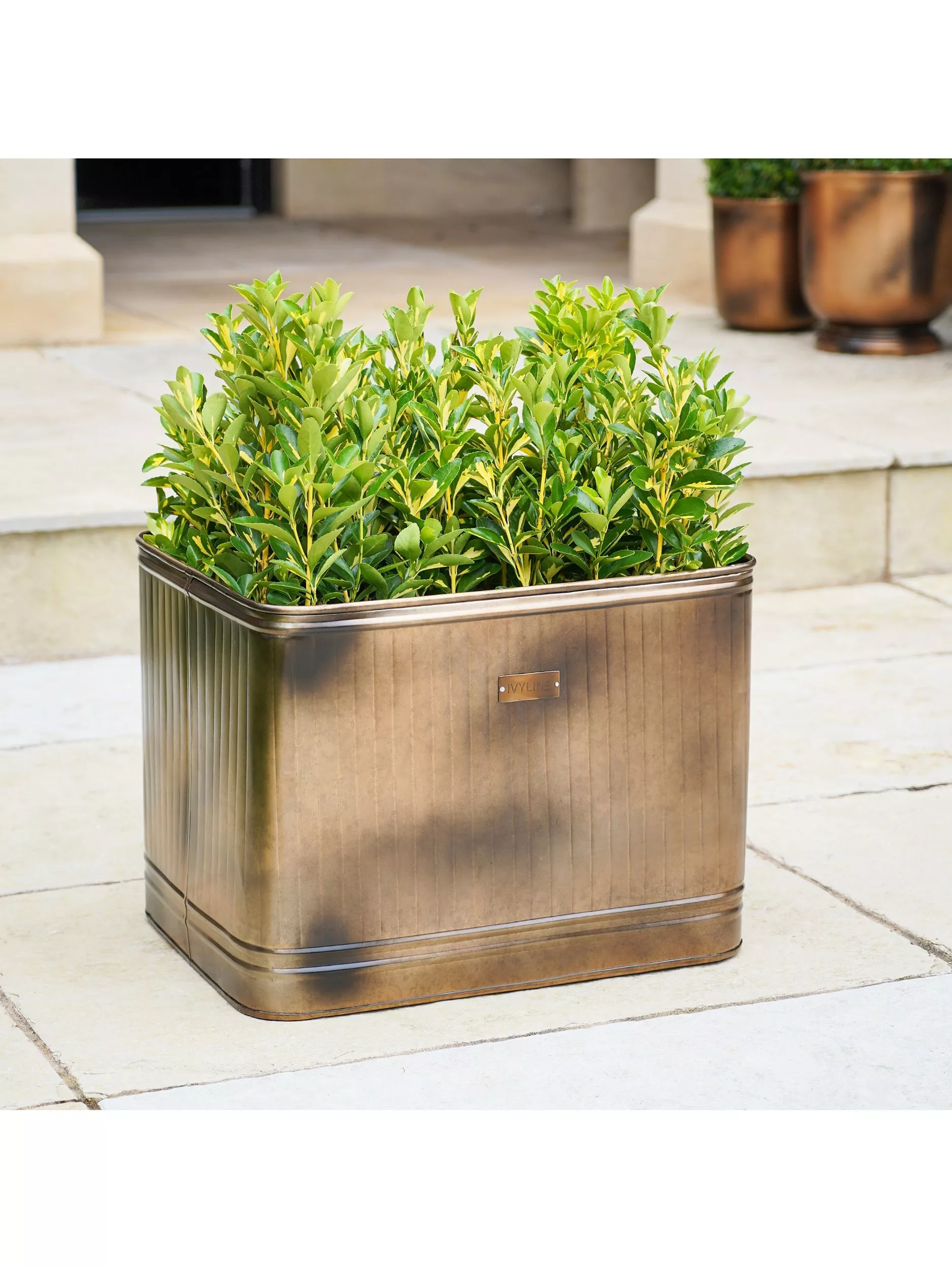 Large antique bronze square planter with lush green shrub, styled on a stone patio for outdoor garden decor