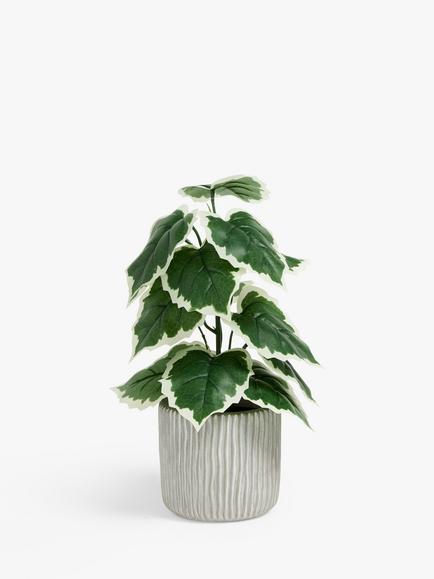 John Lewis Artificial Variegated Fig Plant in Cement Pot, Green/Grey, Multi