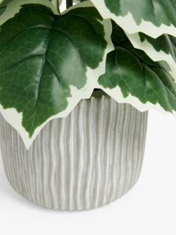 John Lewis Artificial Variegated Fig Plant in Cement Pot, Green/Grey - view 2, Multi