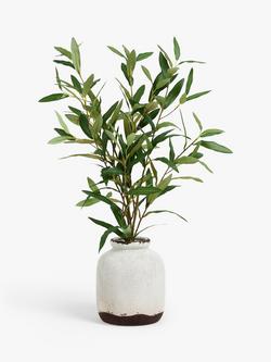 John Lewis Artificial Olive in Ceramic Vase, White/Green, White/Green