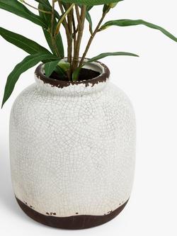John Lewis Artificial Olive in Ceramic Vase, White/Green - view 2, White/Green