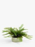 John Lewis Artificial Fern in Ceramic Pot, Green