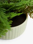 John Lewis Artificial Fern in Ceramic Pot, Green