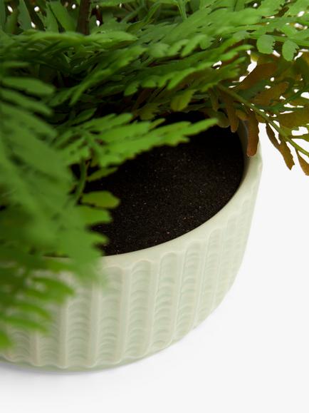 John Lewis Artificial Fern in Ceramic Pot, Green - view 2, Multi