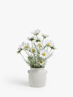 John Lewis Artificial Cosmos in Ceramic Pot, White/Green, White/Green