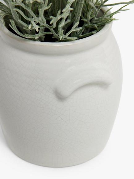 John Lewis Artificial Cosmos in Ceramic Pot, White/Green - view 2, White/Green